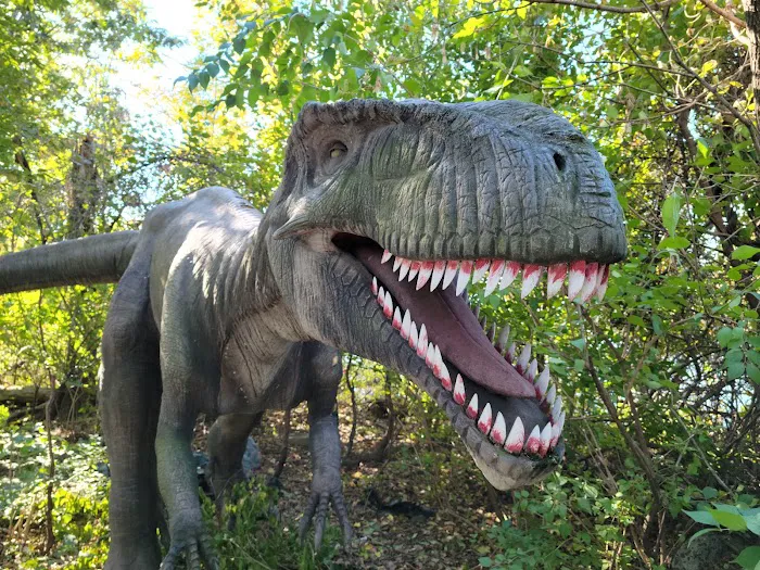 Field Station: Dinosaurs 5