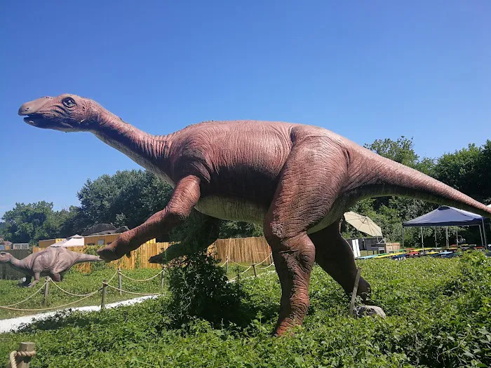 Field Station: Dinosaurs 7