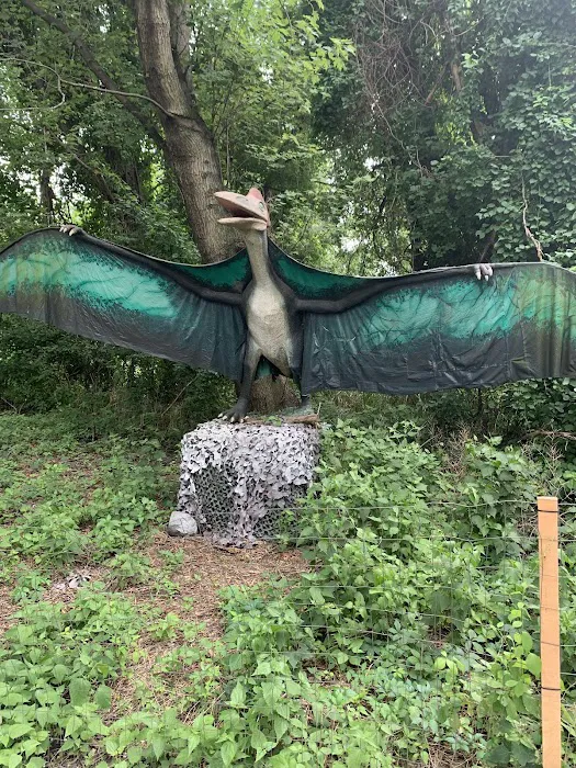 Field Station: Dinosaurs 8