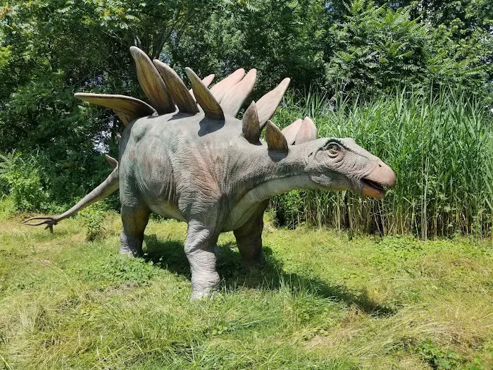 Field Station: Dinosaurs 6