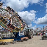 Stricker's Grove
