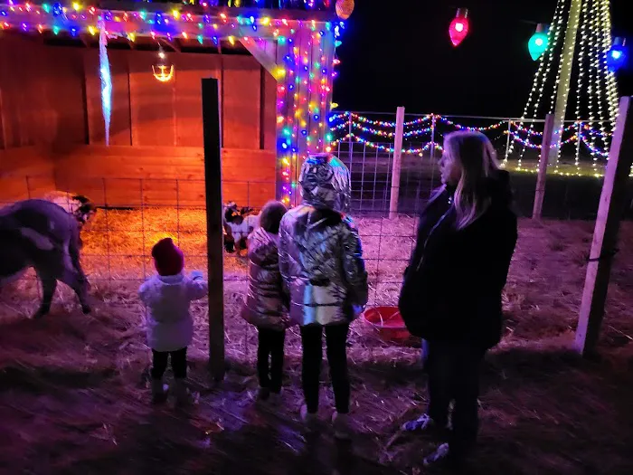 Amann’s Christmas in the country 9