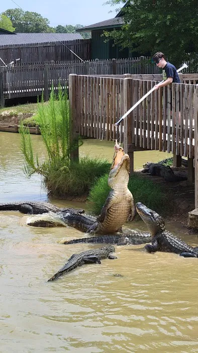 Gators and Friends 7