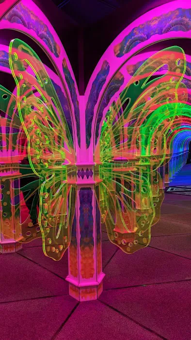 Magowan's Infinite Mirror Maze 0