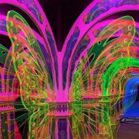 Magowan's Infinite Mirror Maze