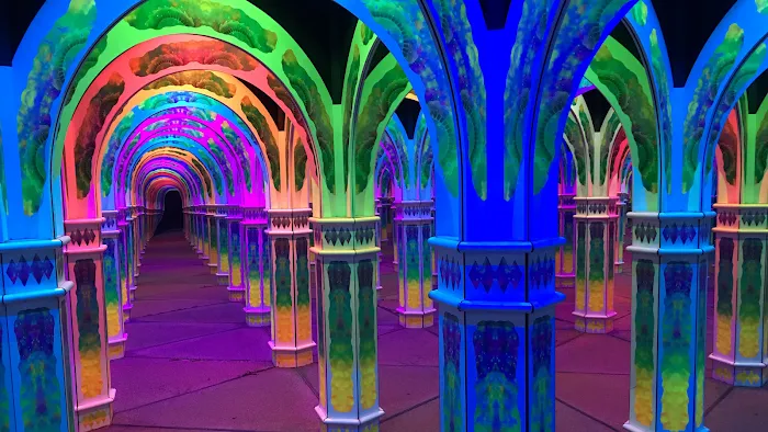 Magowan's Infinite Mirror Maze 8