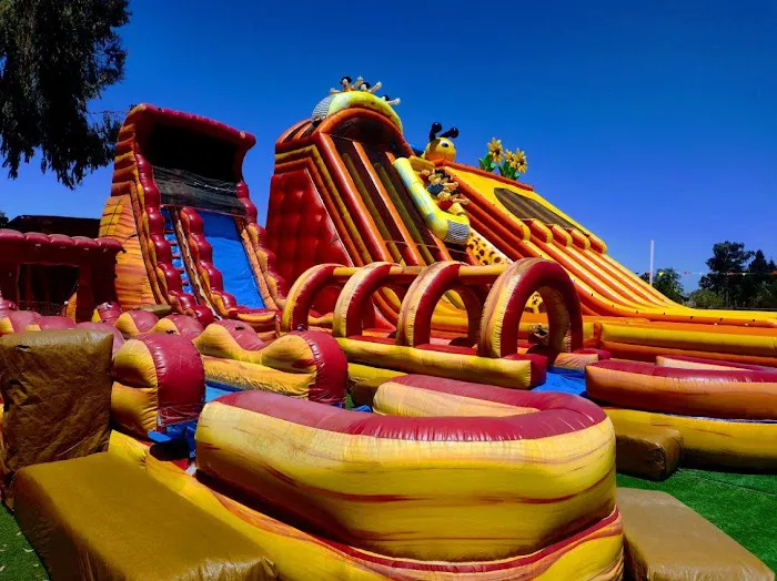 ABC Tree Farms Summer Fun Zone, Pumpkin Patch & Christmas Trees 0