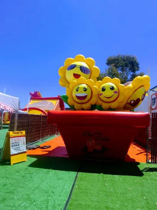 ABC Tree Farms Summer Fun Zone, Pumpkin Patch & Christmas Trees 1