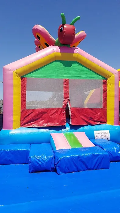 ABC Tree Farms Summer Fun Zone, Pumpkin Patch & Christmas Trees 8