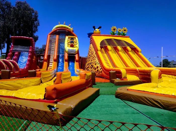 ABC Tree Farms Summer Fun Zone, Pumpkin Patch & Christmas Trees 9