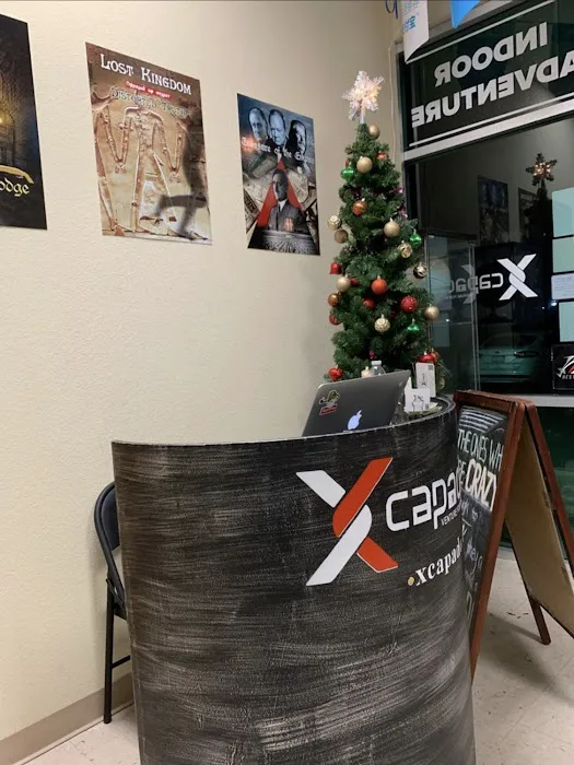 Xcapade Hayward 4