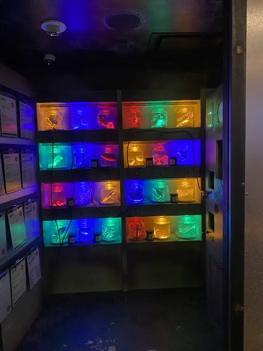 The Escape Game San Jose 6