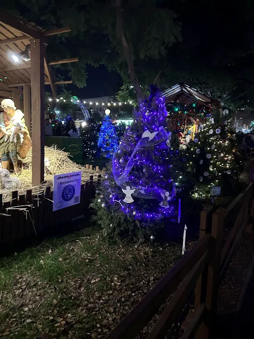Drive Thru - Christmas in the Park 1