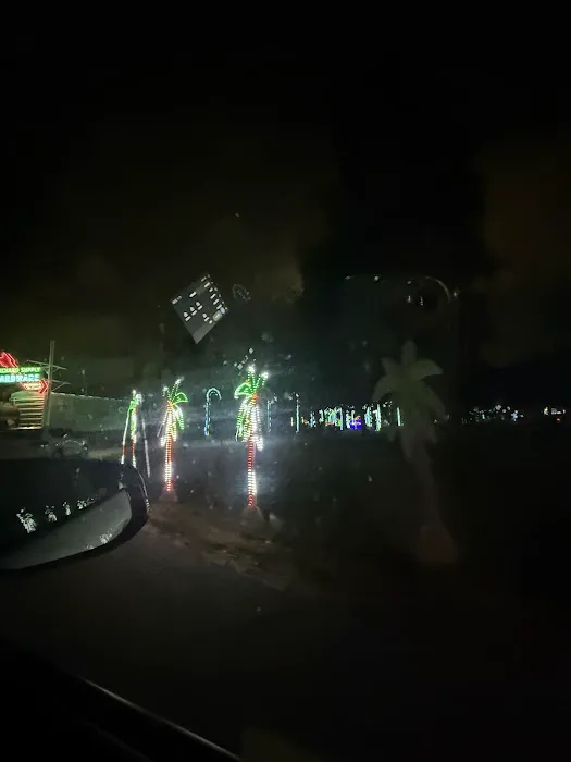 Drive Thru - Christmas in the Park 4