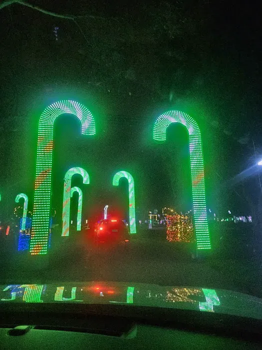 Drive Thru - Christmas in the Park 8