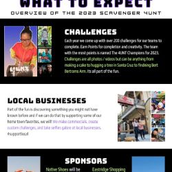 The 4UNT - Virtual Scavenger Hunt ico