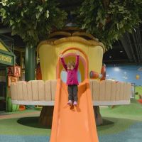 CoComelon Playdate
