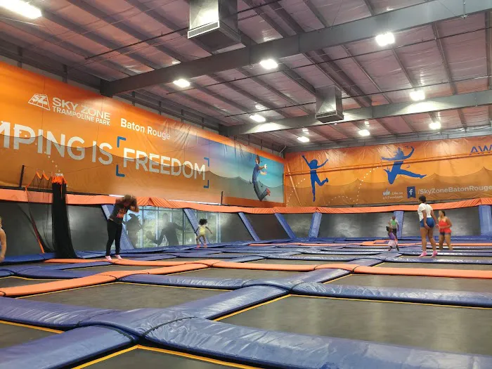 Sky Zone Trampoline Park 0