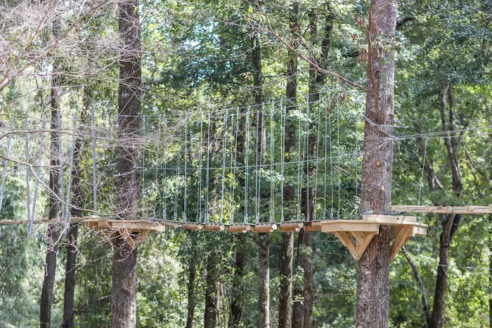 Magnolia Ridge Adventure Park 6