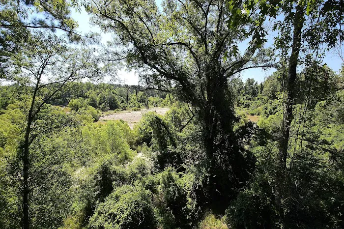 Magnolia Ridge Adventure Park 7