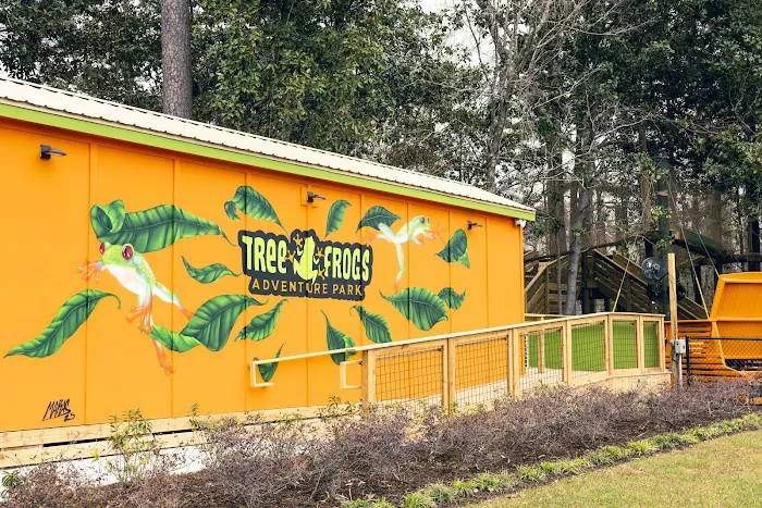 Tree Frogs Adventure Park 6