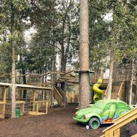 Tree Frogs Adventure Park