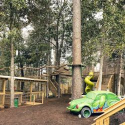 Tree Frogs Adventure Park ico