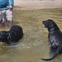 Splash Pad