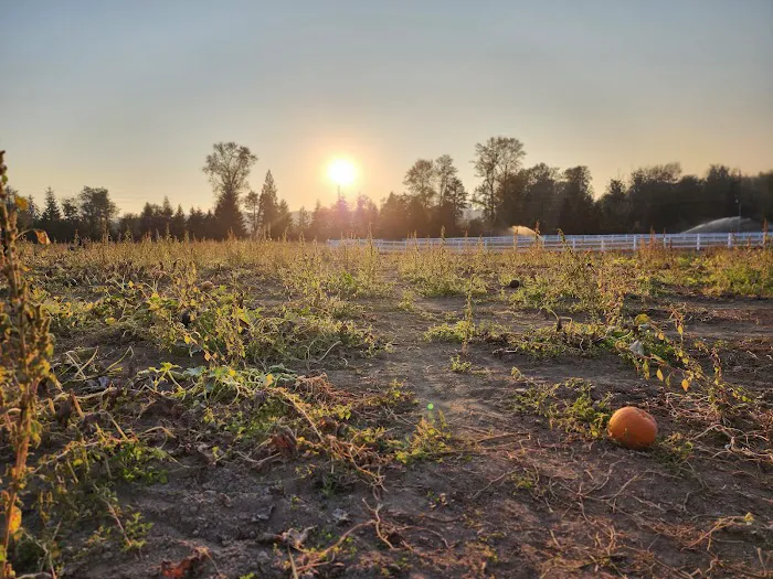 Remlinger Farms 7