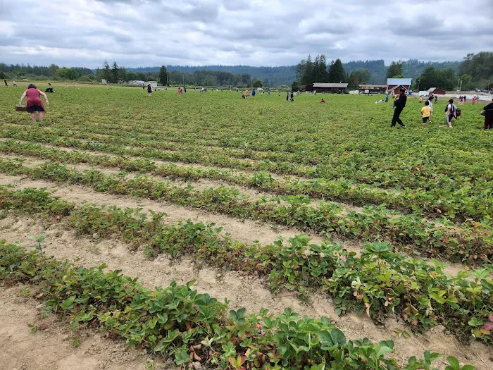 Remlinger Farms 3