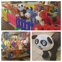 Pet's Zone