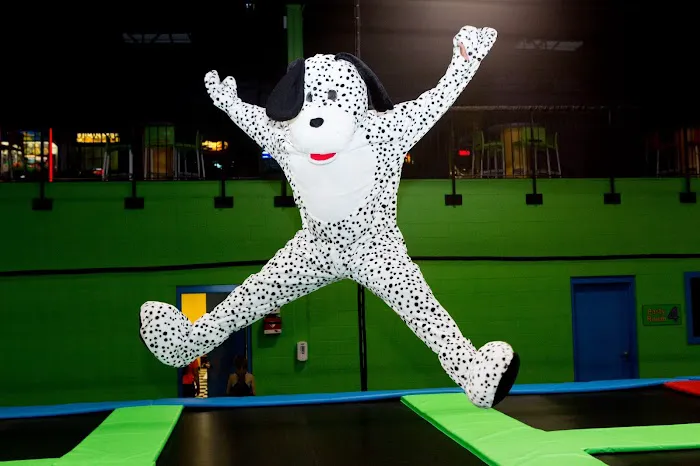 Jumpz Trampoline Sports Danbury (Formerly Bounce Danbury) 4