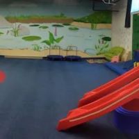 Whippersnapper's Play Gym