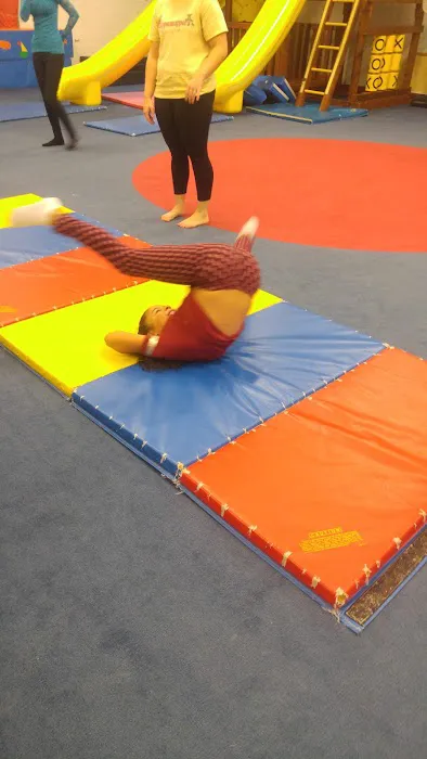 Whippersnapper's Play Gym 5