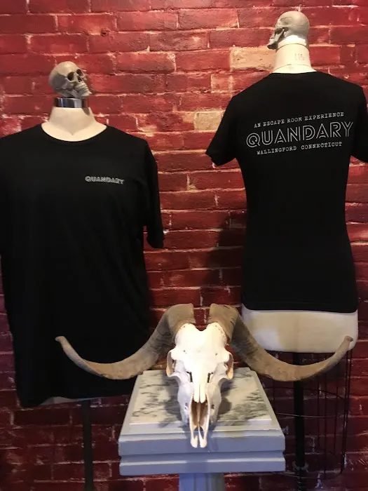 Quandary Escape Rooms CT 4
