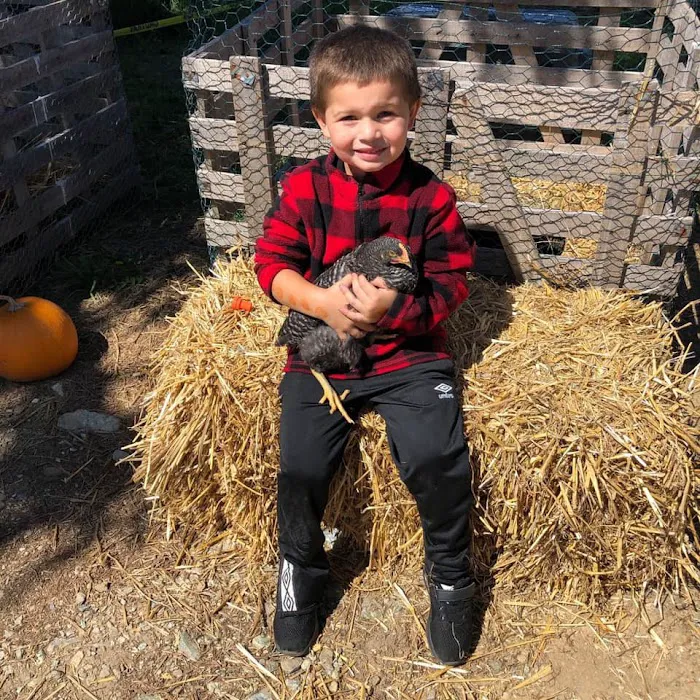 Bigfoot Corn Maze 5