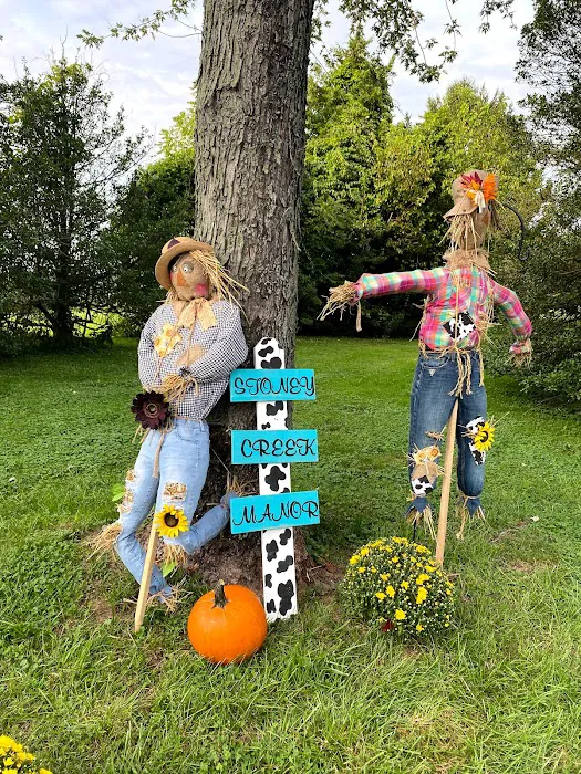 Bigfoot Corn Maze 2