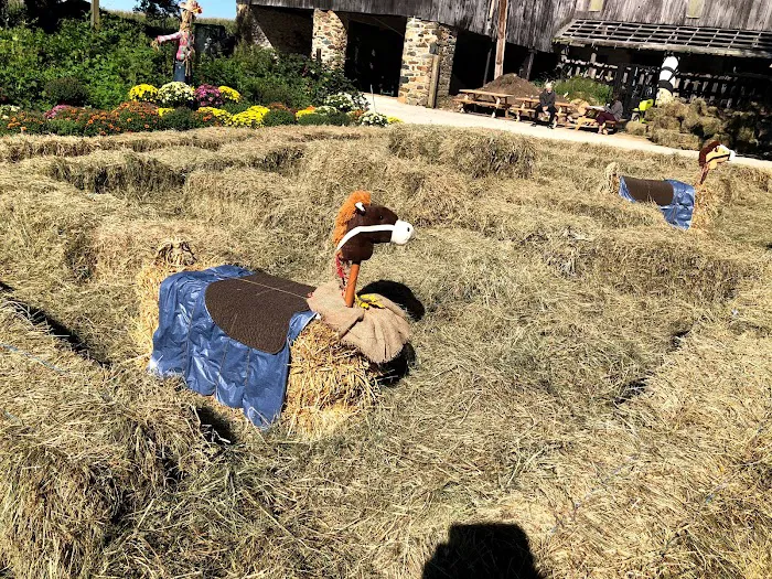 Bigfoot Corn Maze 9