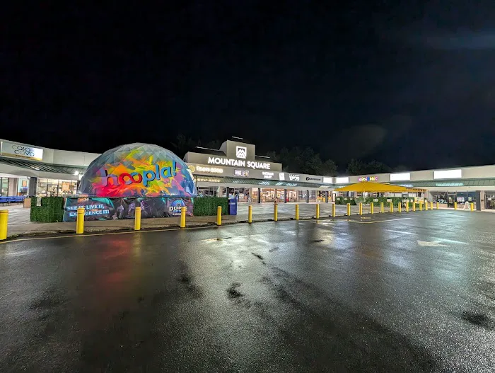 Dome 2030 and Arcade 1
