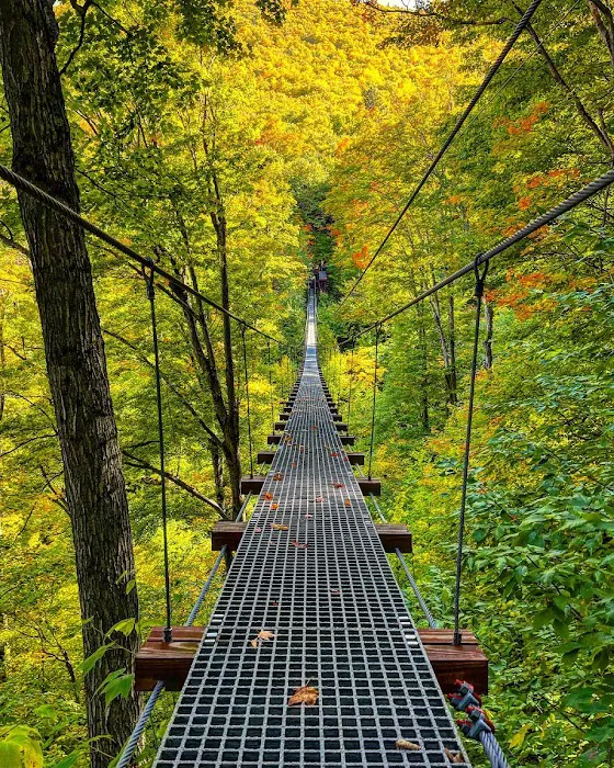 New York Zipline Adventures LLC 5