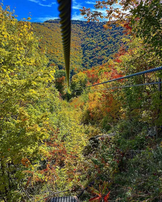 New York Zipline Adventures LLC 2