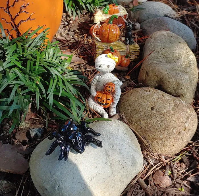 The Wildflower Garden and Fairy Retreat 9