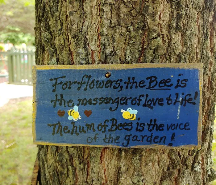 The Wildflower Garden and Fairy Retreat 2