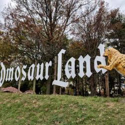 Dinosaur Land ico