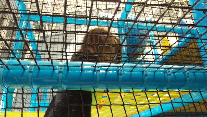 Wippersnappers Kids Play Place 9