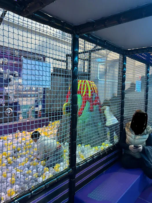 Happy Feet Planet Clayton 1