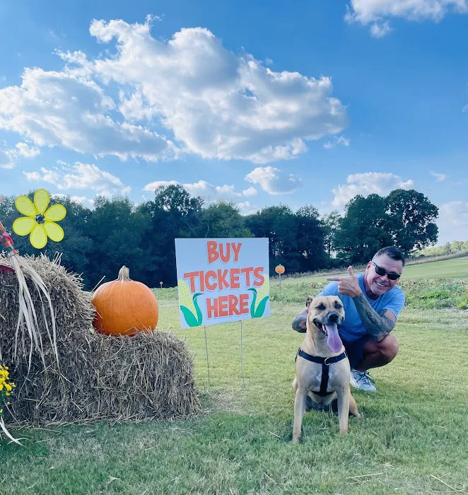 Crossroads Corn Maze 9
