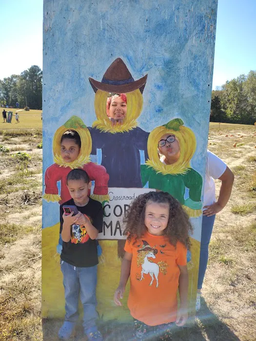 Crossroads Corn Maze 5