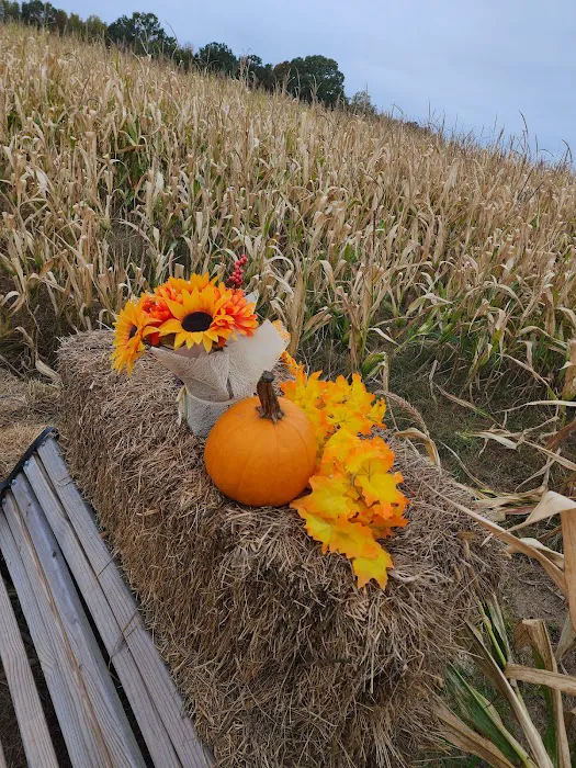 Crossroads Corn Maze 0
