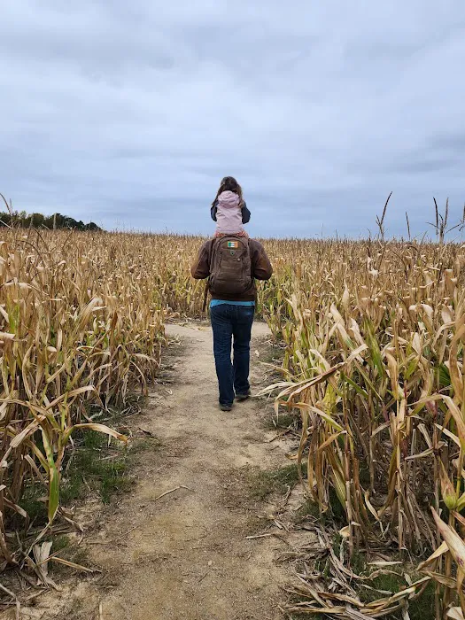Crossroads Corn Maze 1